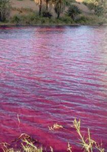 Lut Gölü yani Ölü Deniz havuzu olarak anılan göl kırmızıya döndü